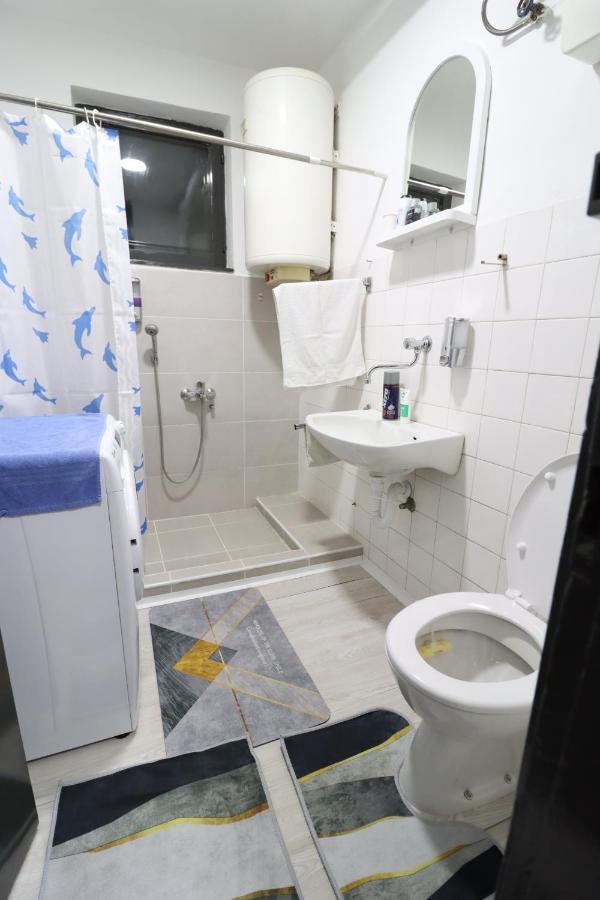 Apartament Apartman Mijatovic Donji Milanovac Zewnętrze zdjęcie